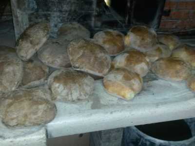 Il pane di Laterza in primo piano: � preparato con un tipo di forno particolare, "ad alimentazione diretta"